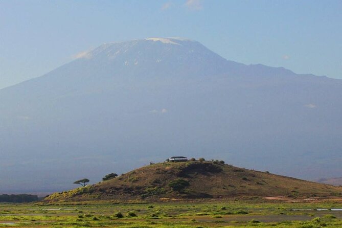 1-Day Amboseli Safari - Who should book this one-day Amboseli safari?