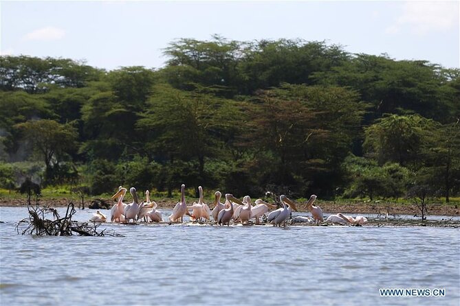 1 Day Bike Tour to Hell’s Gate And Lake Naivasha - Price and value: what $130 covers, and how to plan for the extras