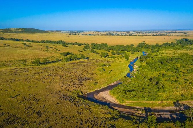 1-Day Maasai Mara Safari - Community Curio Shop stop: quick souvenirs, not a full shopping spree