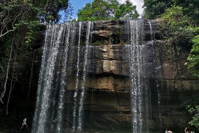 1 day Shimba hills - Key highlights you will actually feel