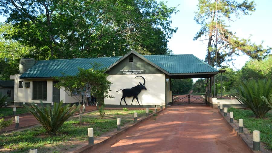 1 day Shimba Hills Tour - Key highlights you will feel in your day