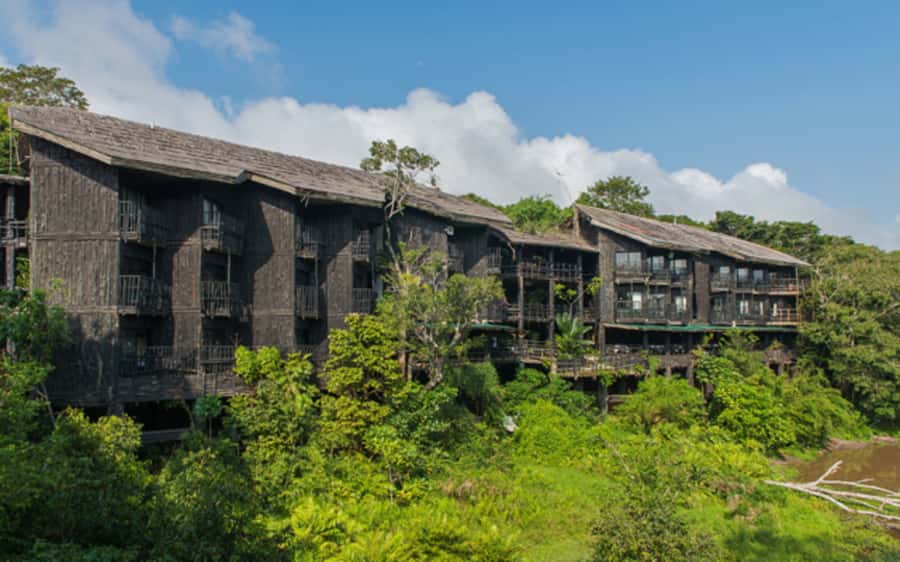 1 day Shimba Hills Tour - Shimba Hills at a glance: rainforest, grassland, and real wildlife odds