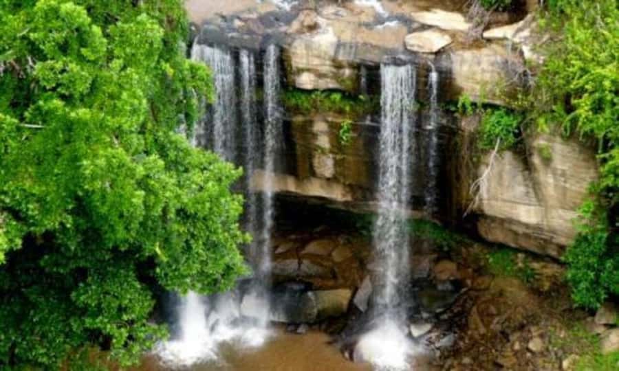 1 day Shimba Hills Tour - Sheldrick Waterfalls: the walk, the swim, and the return reality