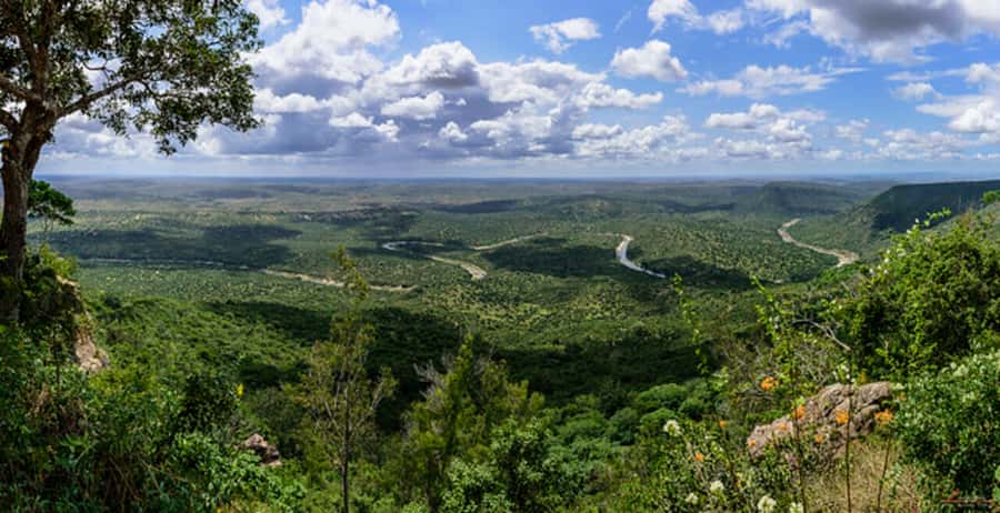 1 day Shimba Hills Tour - Marere Dam and the waterhole effect: why this park rewards patience