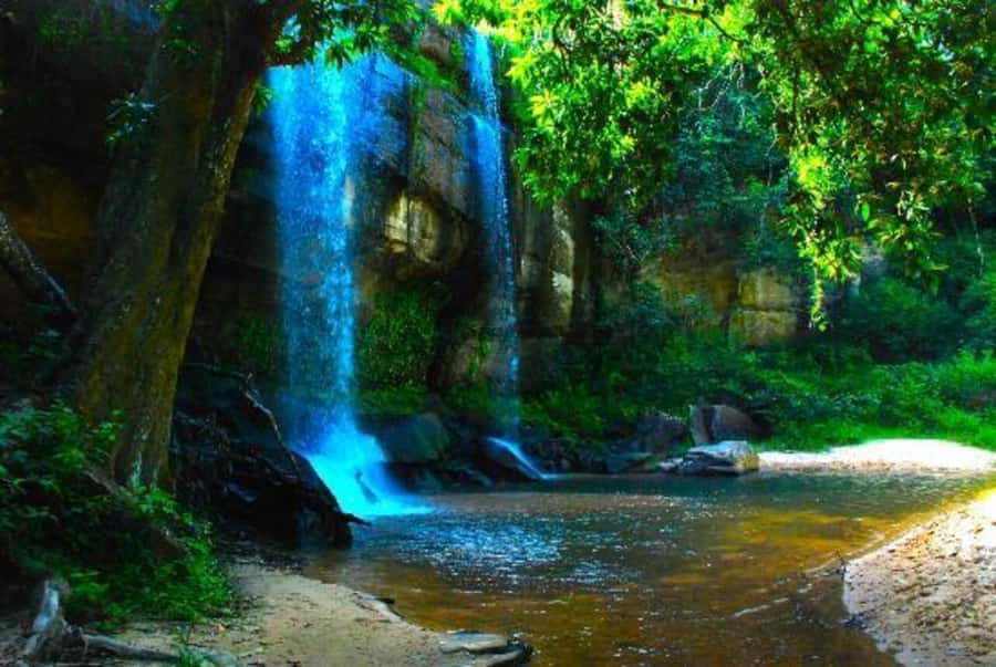 1 day Shimba Hills Tour - Lunch at Shimba Lodge: a tree-top pause with another wildlife look