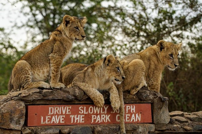 1 Day Tour Nairobi National Park,Giraffe Center&Karen Blixen - Giraffe Centre and Karen Blixen Museum Visits, What You Get for the Money