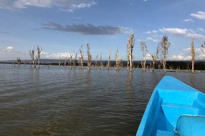 1 Day trip to Hells Gate and Lake Naivasha From Nairobi - Lake Naivasha Boat Tour: Hippos, Flamingos, and Birds