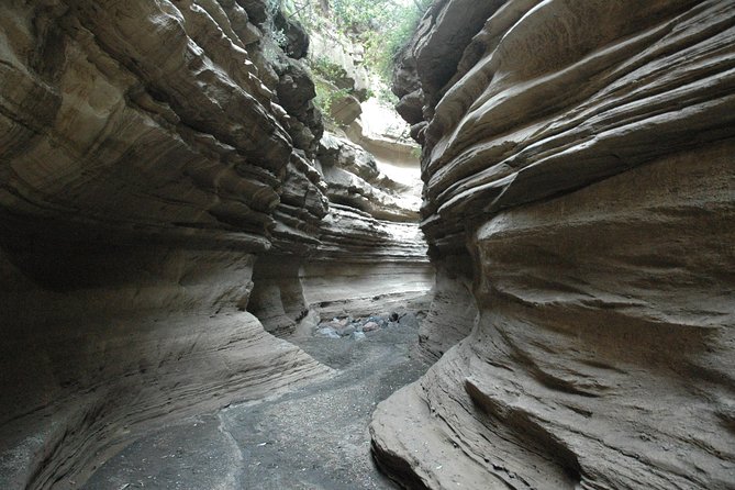 1 Day trip to Hells Gate and Lake Naivasha From Nairobi - Price and what’s included in your $110