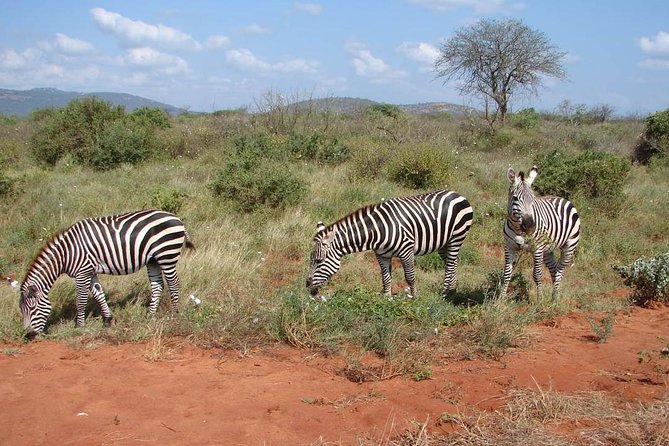 1-Day Tsavo East Safari From Mombasa - Key Things That Make This Tsavo East Day Trip Work