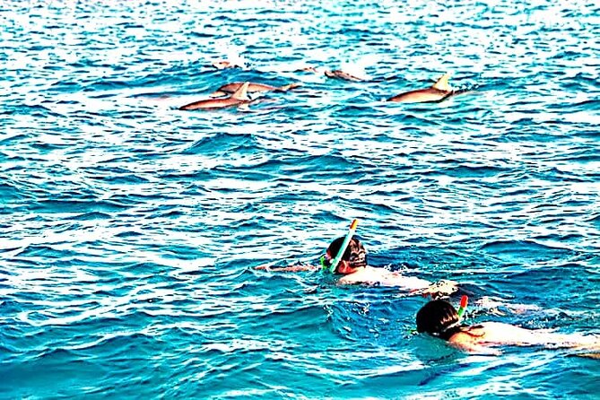 1 day wasini island ( Kisite Marine park) - What could feel frustrating: the one drawback to keep in mind