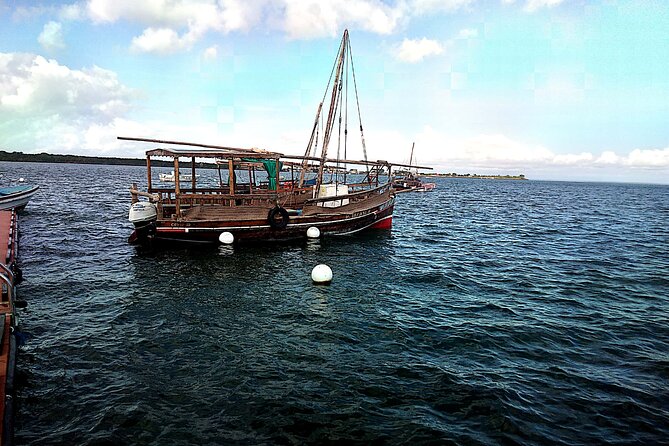 1 day wasini island ( Kisite Marine park) - Dolphin hunt on the water: your best chance at wild pods