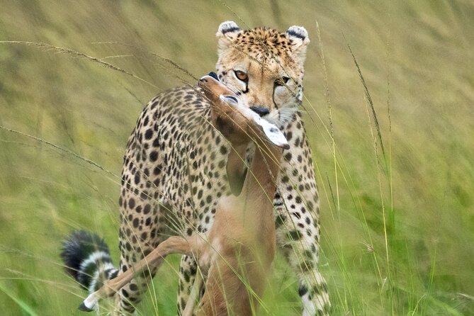 10-Day Private Tour in Big Five Safari and Beaches - Hell’s Gate and the Giraffe Centre, two Nairobi-area add-ons