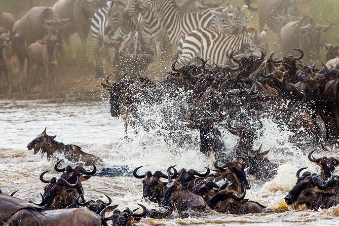11-Days Best of Kenya & Tanzania Big 5 Safari on a 4x4 Jeep - Quick hits on this Kenya to Tanzania safari