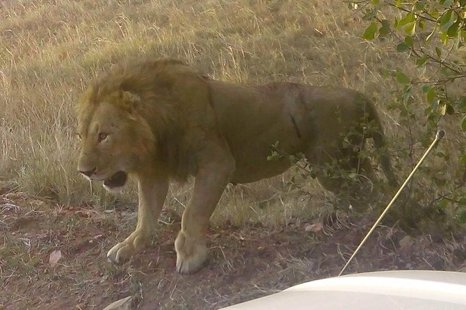 11 Days Guided Group Safari in Kenya And Tanzania - Drones Africa Safaris, and what you should expect from the guide