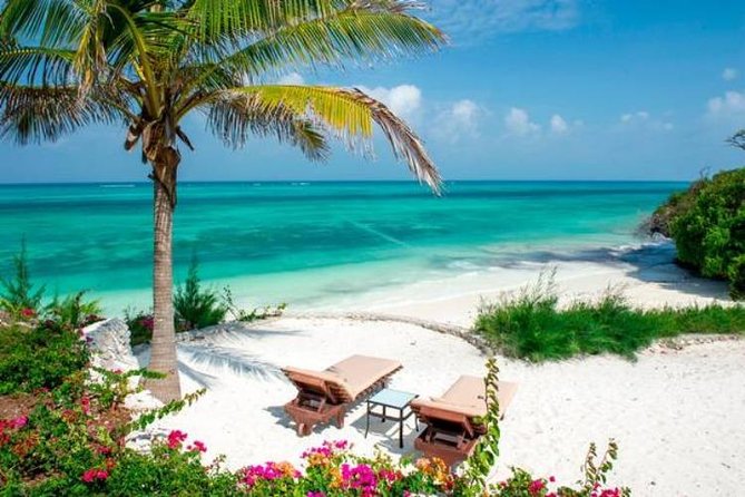 11-Days Kenya Zanzibar Safari - Days 9 to 10 Zanzibar relaxation, coral reefs, and an optional Stone Town day