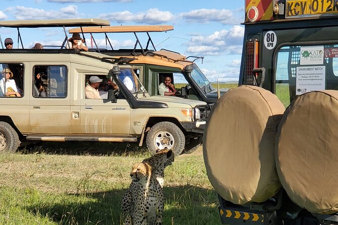 11 Days Private Tour to Explore Amboseli and Samburu - Samburu National Reserve, Days 1 to 2: lions in the story, wildlife in the grass