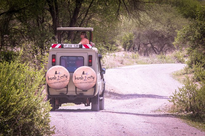 12 Days Best Of Kenya and Tanzania Safari - Luxury - Maasai Mara: three drive styles and one very comfortable base