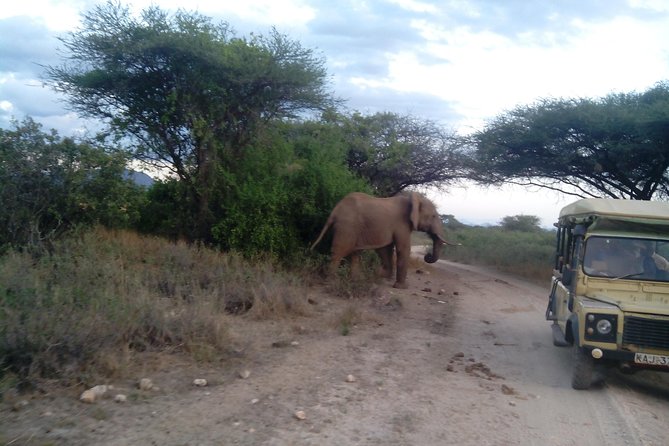 12 Days Kenya and Tanzania Budget Private Safari from Nairobi - Budget Private Safari, But Not a Bare-Bones Budget
