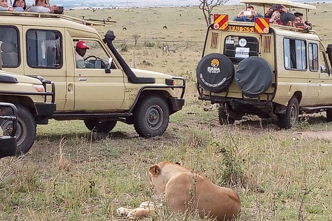 12 Days Kenya and Tanzania Budget Private Safari from Nairobi - Serengeti: cross-border timing and Seronera camp with private-chef meals