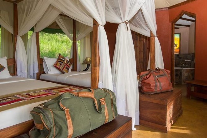12 days Kenya and Tanzania safari private lodge from Nairobi - Serengeti full-day game drives and the migration story you can see