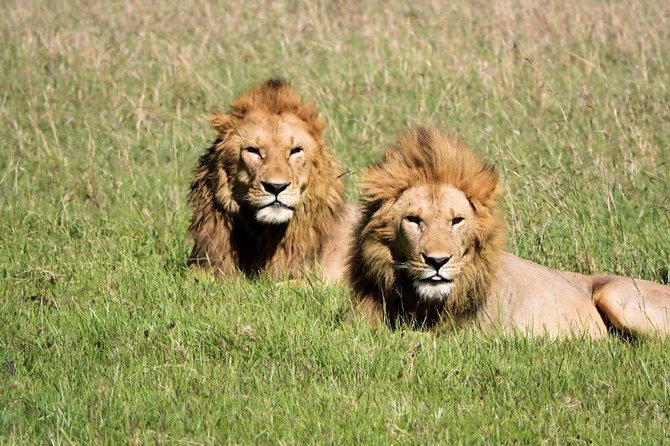 12 days Kenya and Tanzania safari private lodge from Nairobi - Lake Naivasha and Hell’s Gate: animals plus views plus boat time