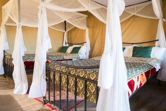 12 Days Kenya & Tanzania Safari Private Lodge Safari from Nairobi - Serengeti plains and the hippo pause at Serengeti Hippo Pool