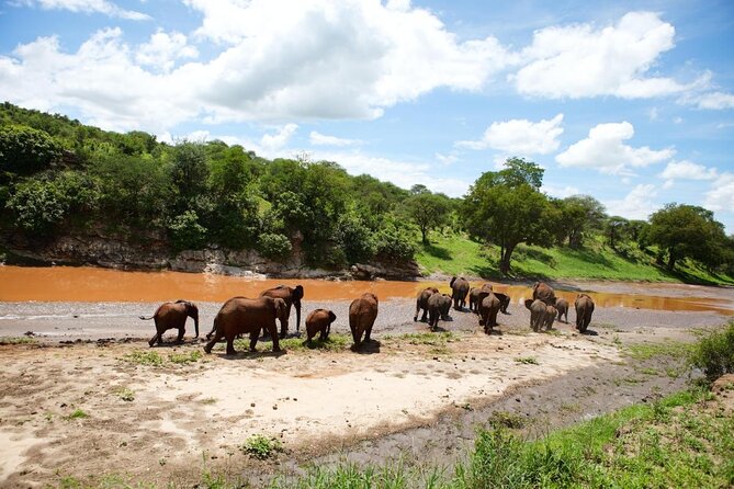 13-Day Private Wildlife Safari Tour of Kenya and Tanzania - Key highlights at a glance