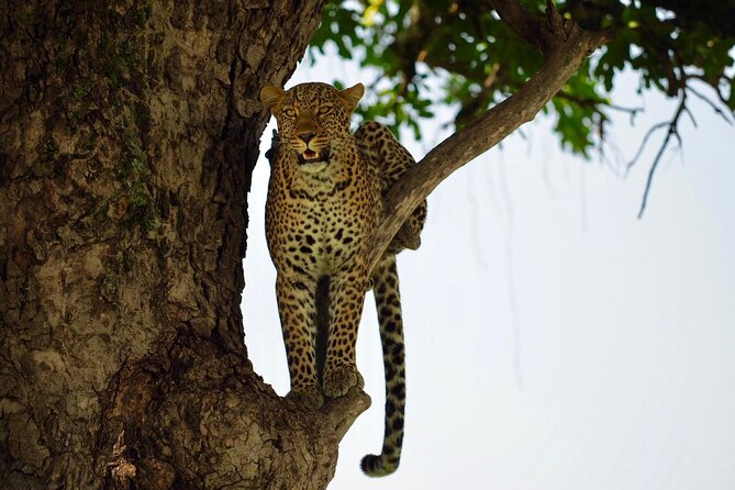 13-Day Private Wildlife Safari Tour of Kenya and Tanzania - Day 3: Lake Nakuru for Rhinos and a Massive Bird Day