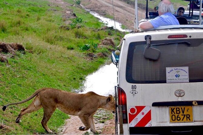 13-Day Private Wildlife Safari Tour of Kenya and Tanzania - Day 7: Lake Victoria and Speke Bay Lodge’s Boat Ride