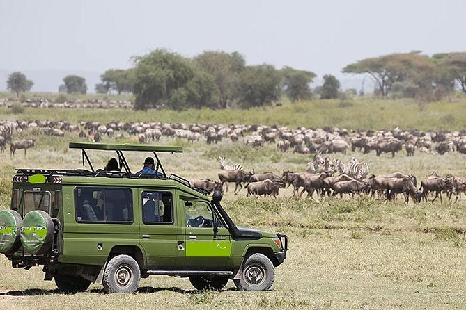 14-Days Kenya and Tanzania Camping Safari from Nairobi - Why This 14-Day Kenya and Tanzania Route Makes Sense