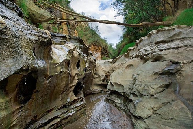 15 Days Classic Kenya & Tanzania + Zanzibar Beach Holiday - Ngorongoro Crater: the descent, the density, and the sunset rim