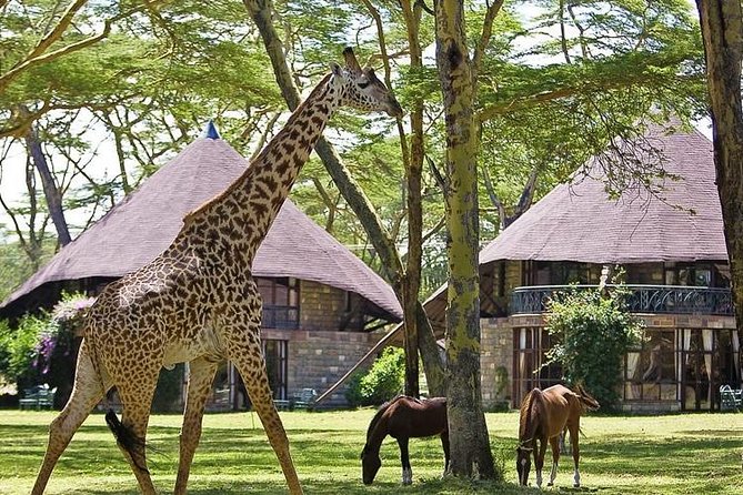 15 Days Classic Kenya & Tanzania + Zanzibar Beach Holiday - Two Zanzibar days to reset your body after the long drives
