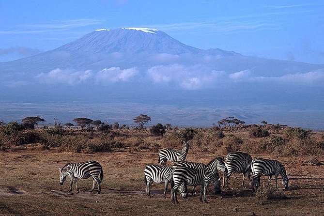 15 Days Classic Kenya & Tanzania + Zanzibar Beach Holiday - Maasai Mara: multiple full days and real chances for big cats