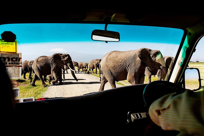 2-Day Amboseli National Park Safari- Daily Departures - Key highlights worth your attention