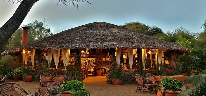 2-Day Amboseli National Park Safari- Daily Departures - Day 1 at Amboseli: midday arrival, a reset, then the 4:00 pm evening drive
