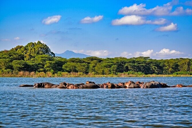 2-Day Hell's Gate, Crescent Island and Nakuru - Private Safari - Timing and lodge routine: check-in, lunch at noon, then park time from 15:00
