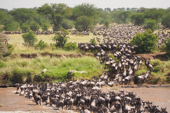 2-Day Private Tour in Masai Mara with Pick Up - The road to Maasai Mara, plus a Narok breakfast break