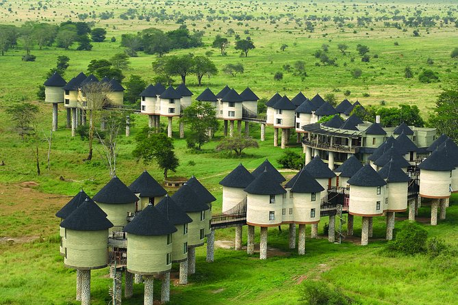 2-Day Safari in Taita Hills from Mombasa - Quick hits you will feel on this safari
