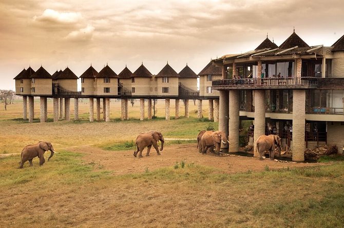 2-Day Safari in Taita Hills from Mombasa - Day 2 begins with an early drive and the Kilimanjaro gamble