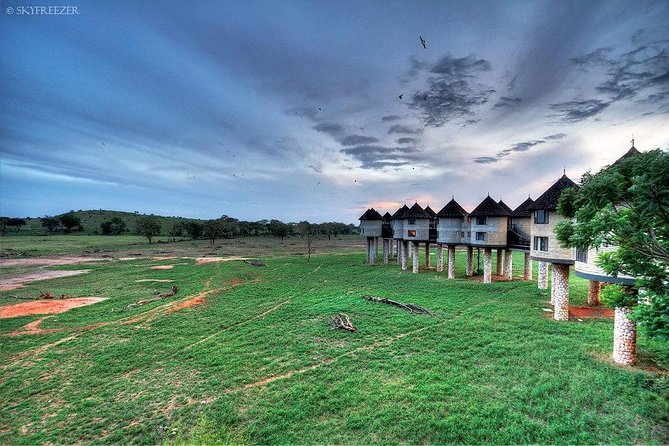 2-Day Safari in Taita Hills from Mombasa - Ngutuni to Tsavo East bordering drives: when to expect action