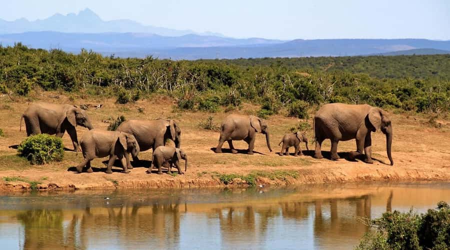 2-Day Tsavo East National Park Safari (with options) - Big Five Chances and the Wildlife You’re Most Likely to See