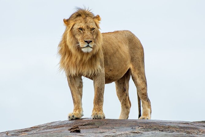 2-Day Tsavo East Private Tour - Key highlights you will feel on the ground