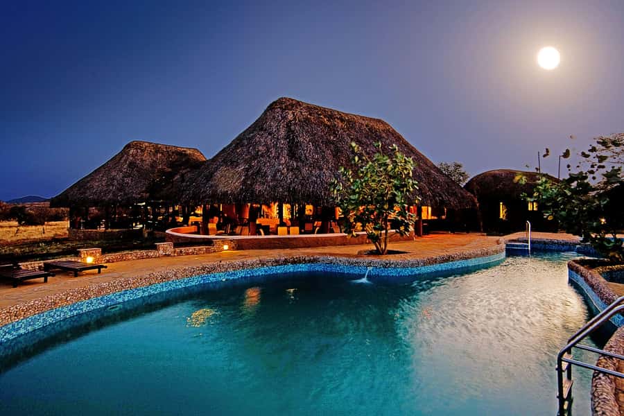 2 Days 1 Night Amboseli Safari - Quick hits before you go