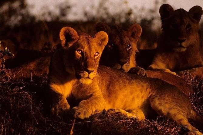 (2 Days, 1 Night) Day & Night Game Drive Tsavo East National Park - Getting to Tsavo East from the coast: the 4:30 am start