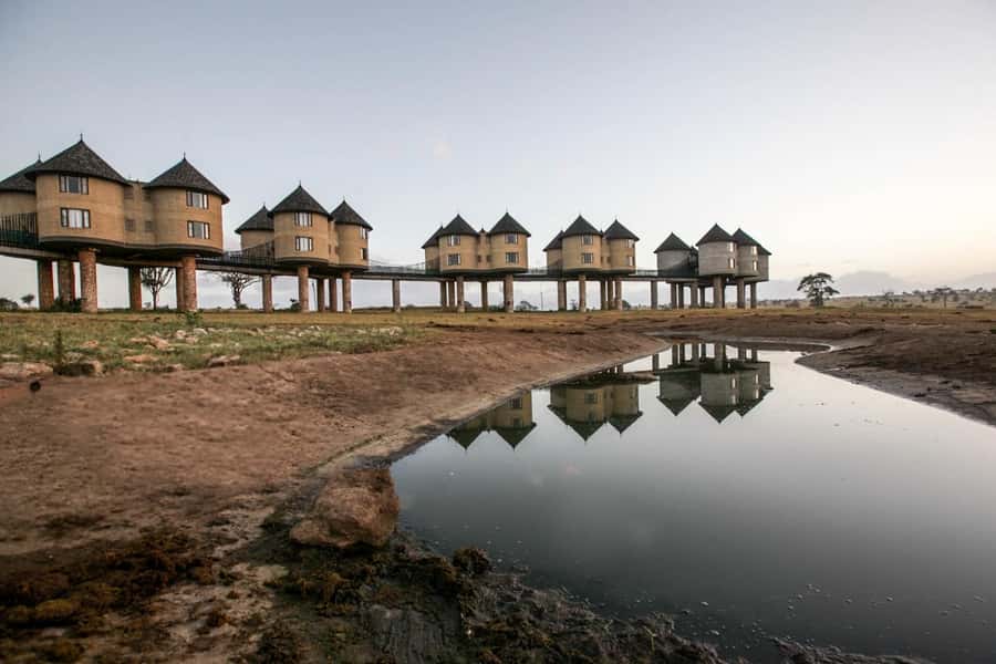 2 days 1 night saltlick safari from Diani/Mombasa - Day 1 game drive, 10:00 to 13:30: your first real chance at wildlife