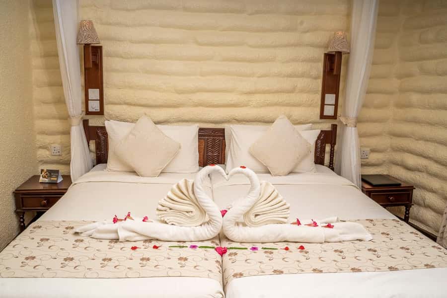 2 days 1 night saltlick safari from Diani/Mombasa - Overnight at Salt Lick: comfort with a front-row location