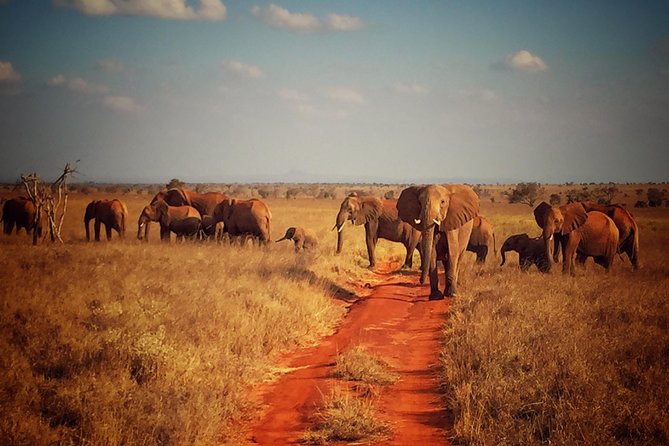 2 Days (1 night); Tsavo East & Saltlick Safari: - The lunch break at Zomeni Lion Hill Lodge (and why it is not wasted time)