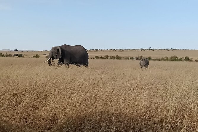 2 Days Adventurous Safari in Amboseli (Mid Range Tour) - Value and what you’re really paying for at $1,071.88