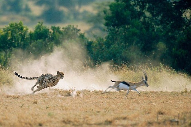 2 days Amboseli National Park Safari - Observation Hill walking time, and how to use it