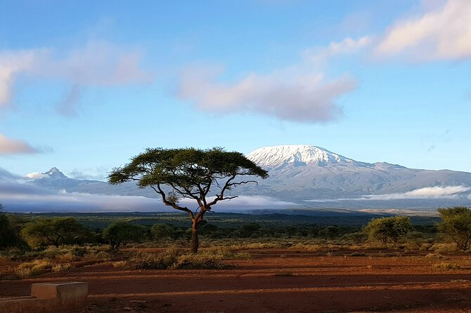 2 Days Amboseli Park Overnight Private Safari - How to spot elephants better: use the park’s different habitats